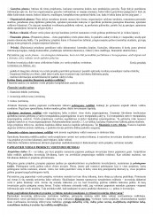 www.speros.lt